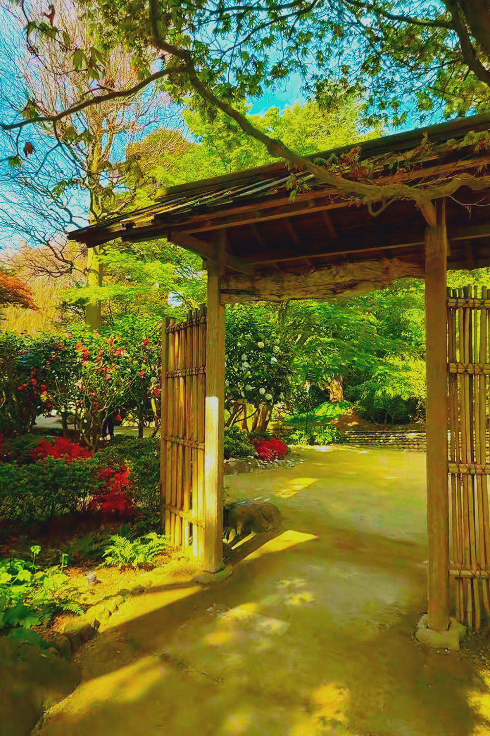 jardin albert khan entry japanese garden