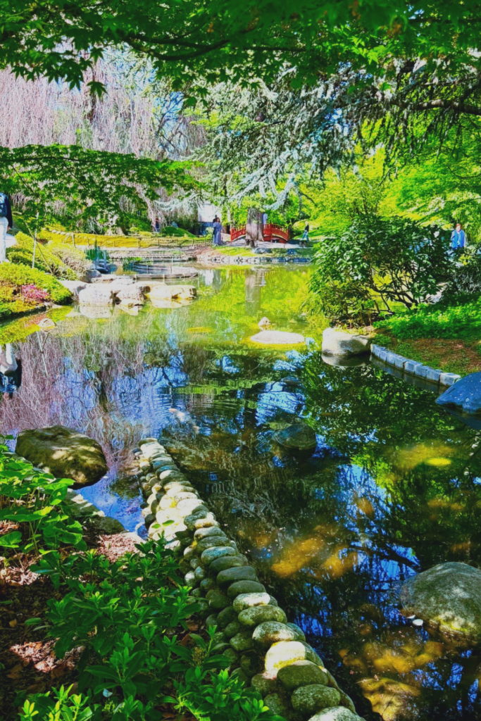 jardin albert khan stream background