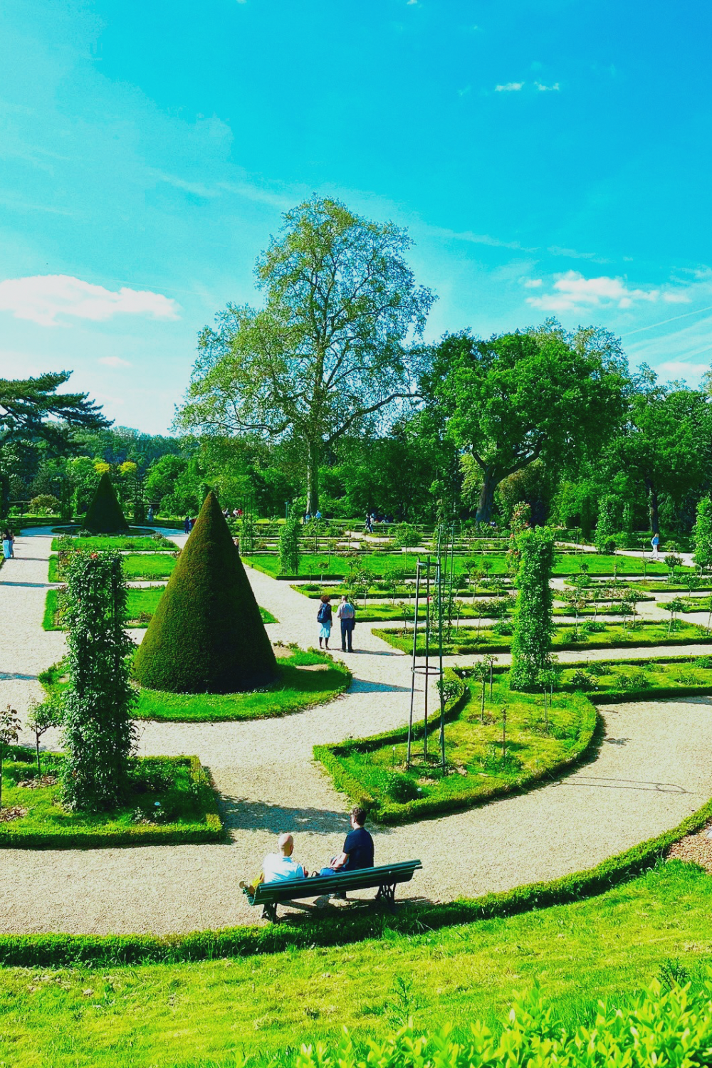 panoramic view of the park