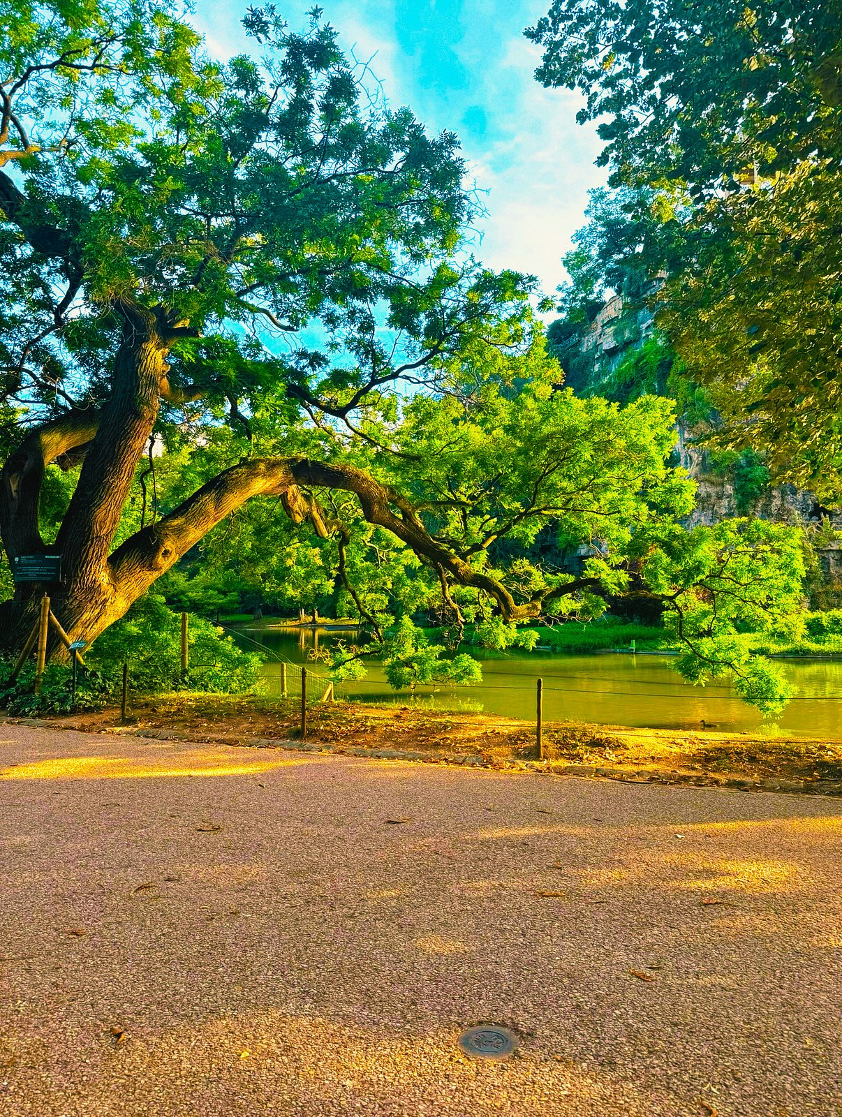 le parc buttes chaumont stream sideview