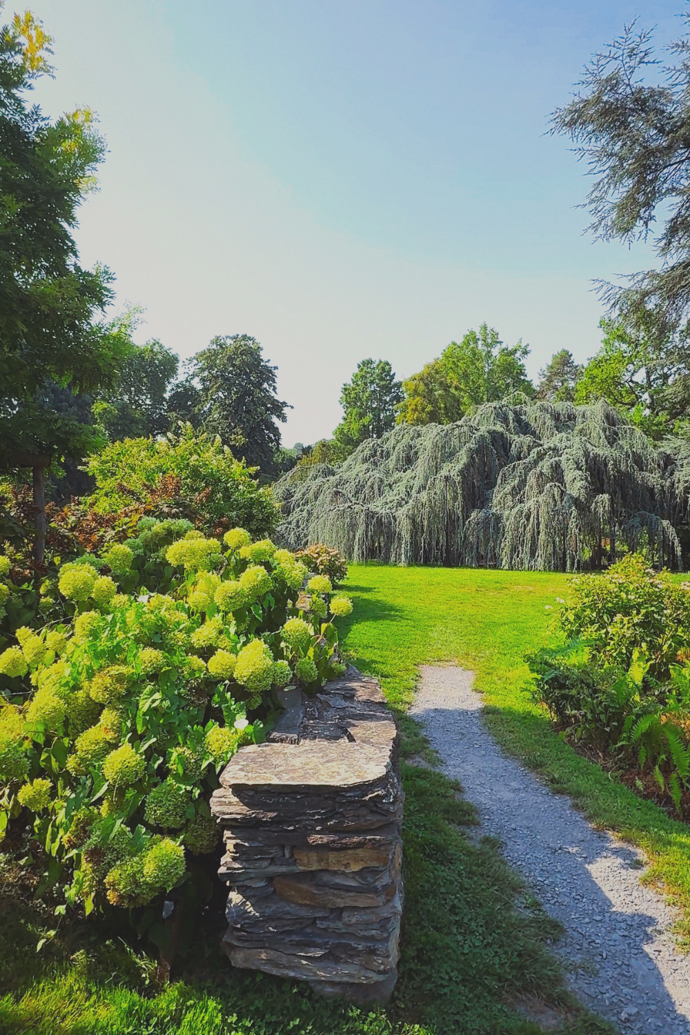 tree garden